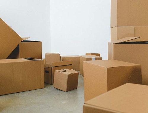 Essential Tips for Your First Mesa Move